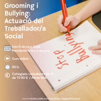 202407 Grooming y Bullying: Actuación del Trabajador/a Social