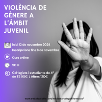 202411 Violencia de Género en el ámbito juvenil