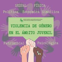 VIOLENCIA DE GÉNERO EN EL ÁMBITO JUVENIL