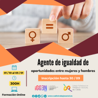 Curso online " Agente de Igualdad de Opotunidades entre Mujeres y Hombres". 300h 