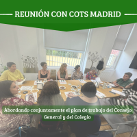 Reunión con el Colegio Oficial de Trabajo Social de Madrid