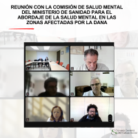 El Consejo General del Trabajo Social se reune con la Comisión de Salud Mental del Ministerio de Sanidad